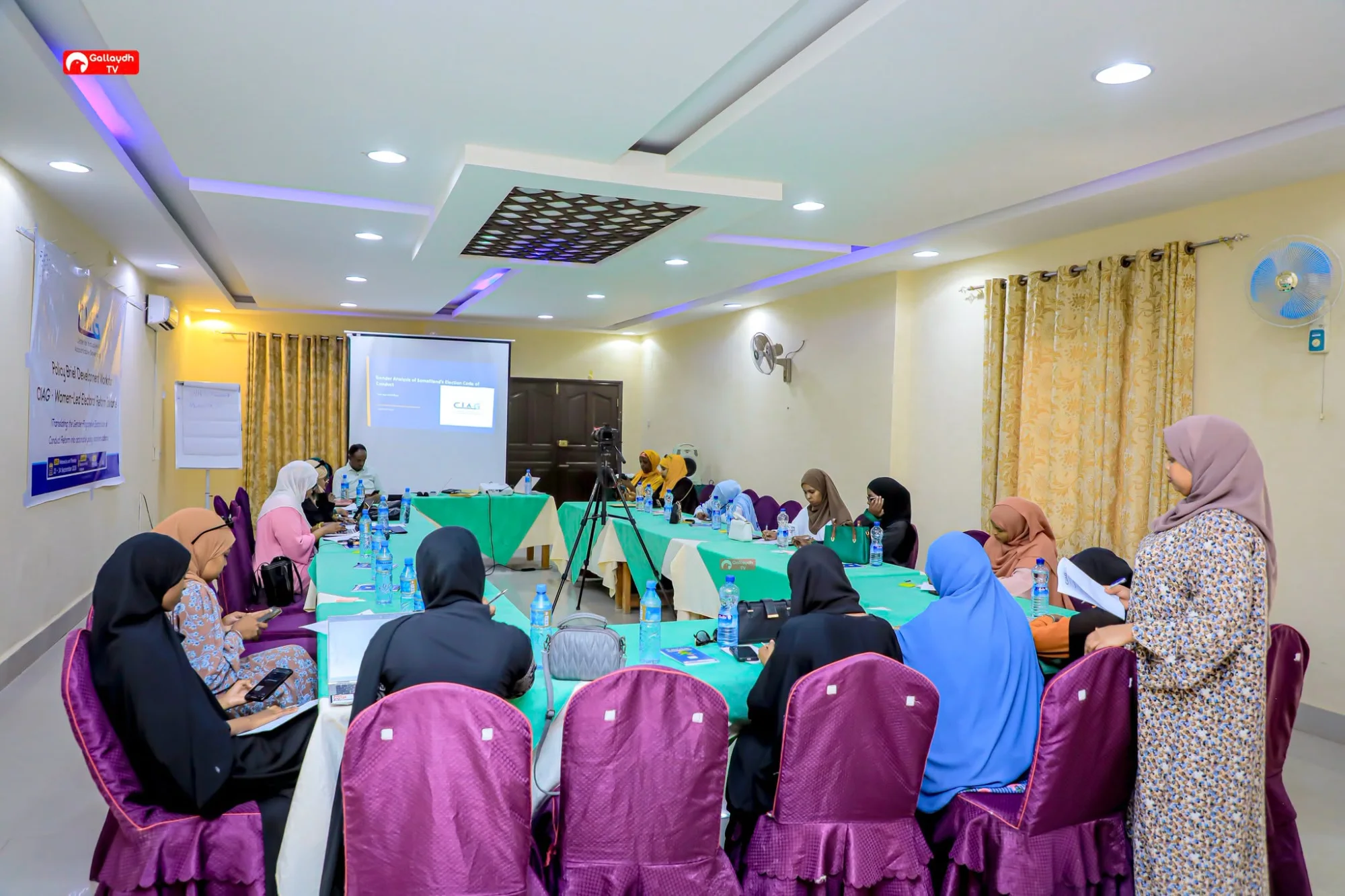 Developing Policy Briefs on Gender-Responsive Electoral Code of Conduct Reform gallery image 1