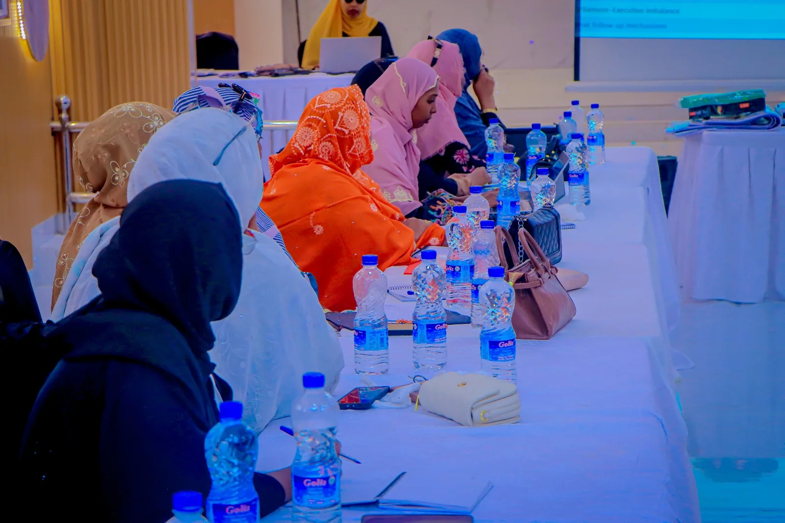Preparing 82 Women for Parliament – PODW-2026