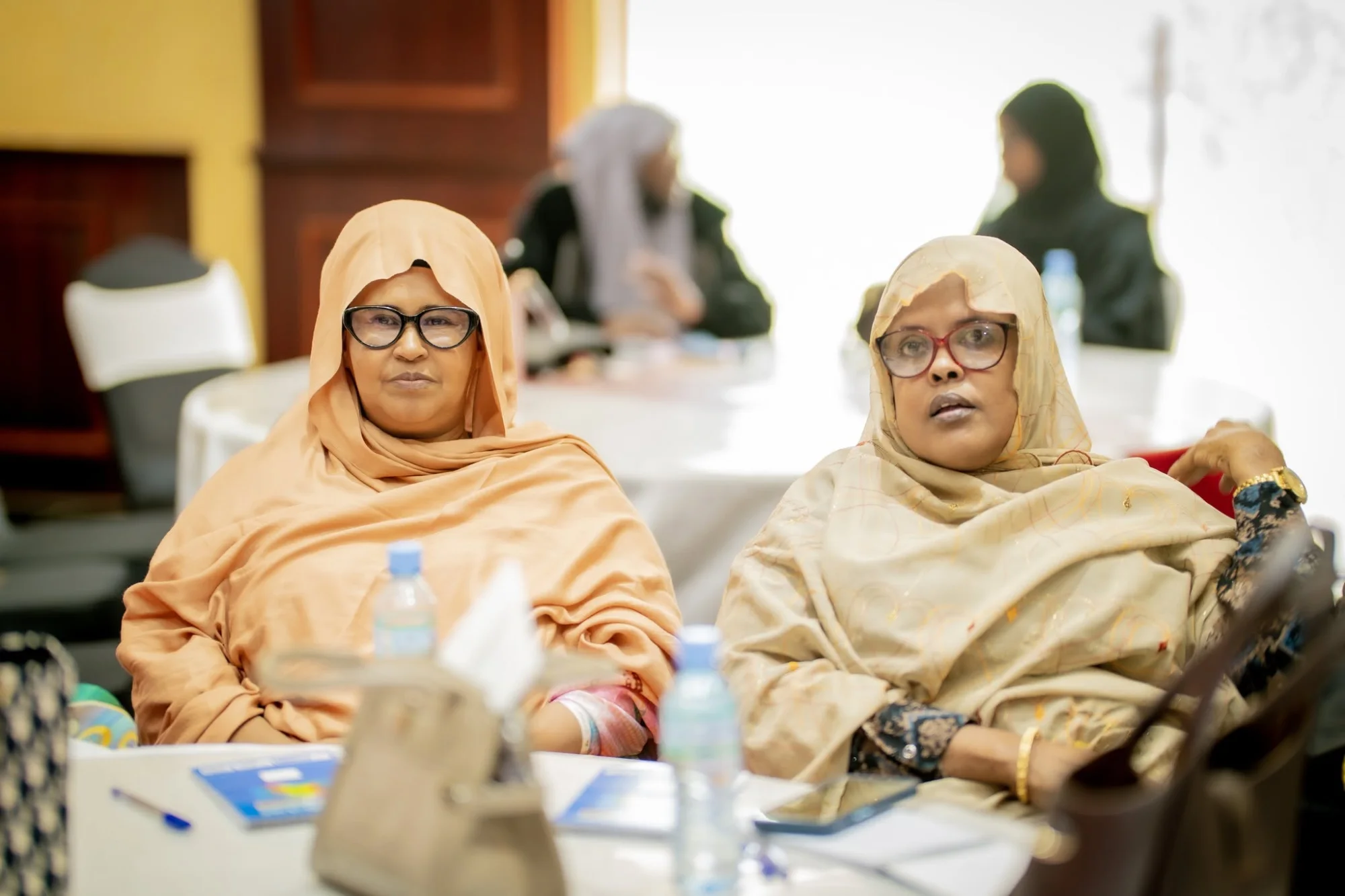 Strategies for Electing Women Leaders – CIAG Forum